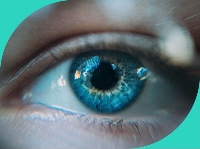 Our Vision